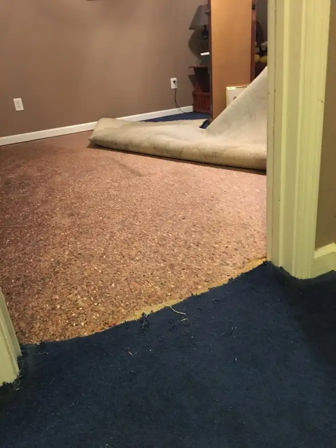 Carpet pad removal revealing water damage during Water Mitigation Services in New Brunswick