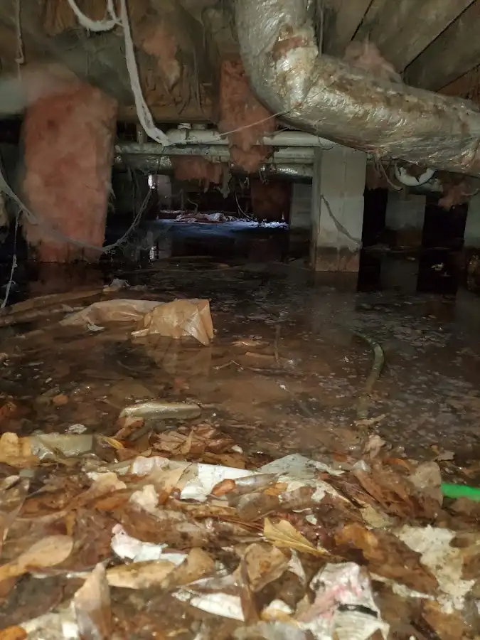 Crawl space flood assessment for Leak Detection & Repair in New Brunswick
