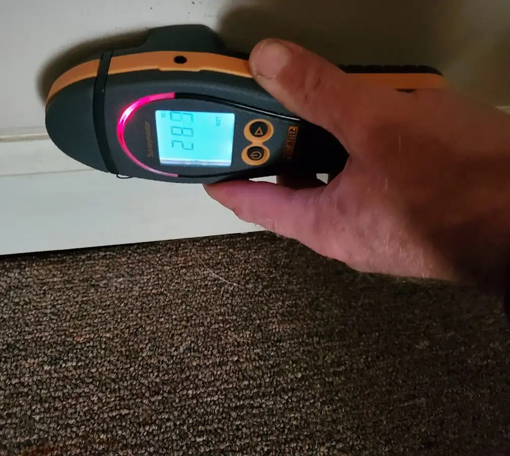 Moisture detection at baseboard during Sewage Cleanup & Sanitation in New Brunswick